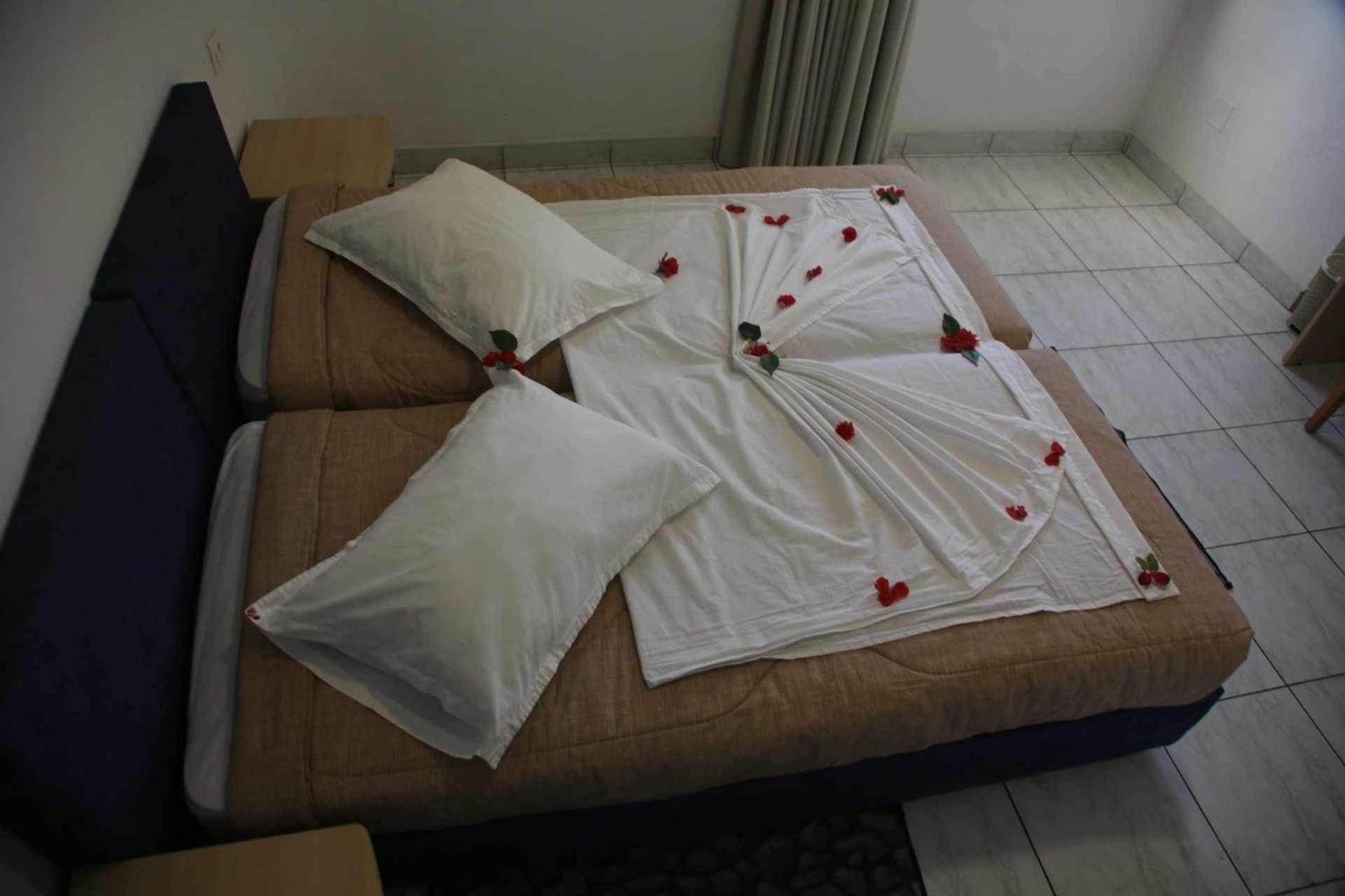 Amine * Sfax